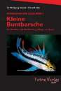 Kleine Buntbarsche (Amerikanische Cichliden I)